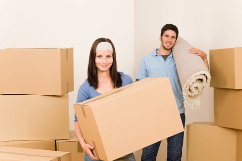Professional Catford movers planning and organizing a home move